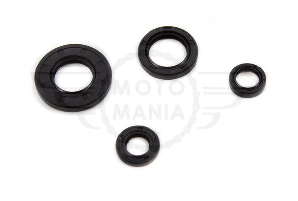 Yamaha YBR125 YBR 125 XTZ125 Engine Oil Seal Kit